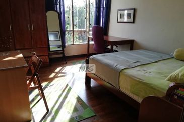 Anggerik Doritis @ Kota Kemuning