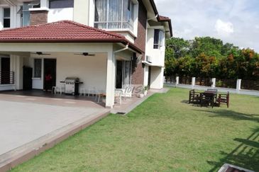 Anggerik Doritis @ Kota Kemuning