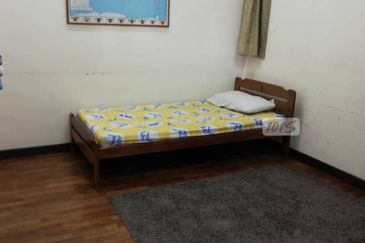 Anggerik Doritis @ Kota Kemuning