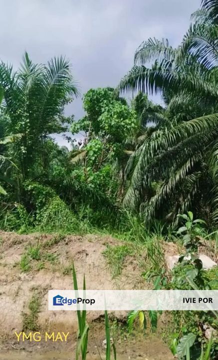 Telok Panglima Garang Kuala Langat Agricultural Land For Sale 2.5 Acres, Selangor, Kuala Langat