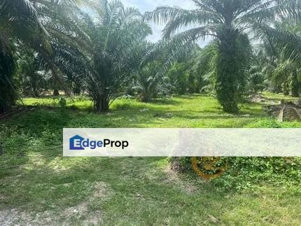 Super Value Buy Morib Mukim Batu 2.5acres Agriculture Land Banting, Selangor, Banting