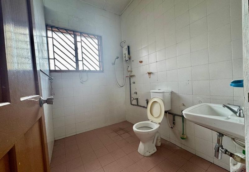 Stulang Laut / Darat