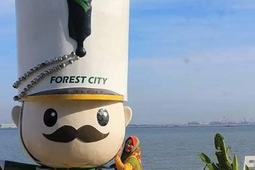 Starview Bay @ Forest City