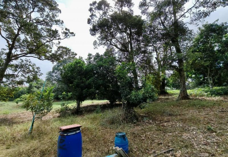 Bandar Baru Kangkar Pulai