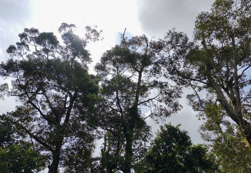 Bandar Baru Kangkar Pulai