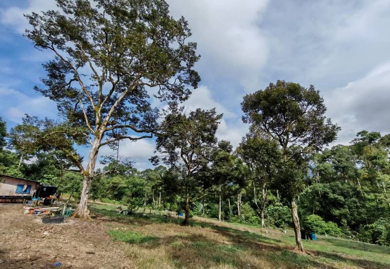 Bandar Baru Kangkar Pulai