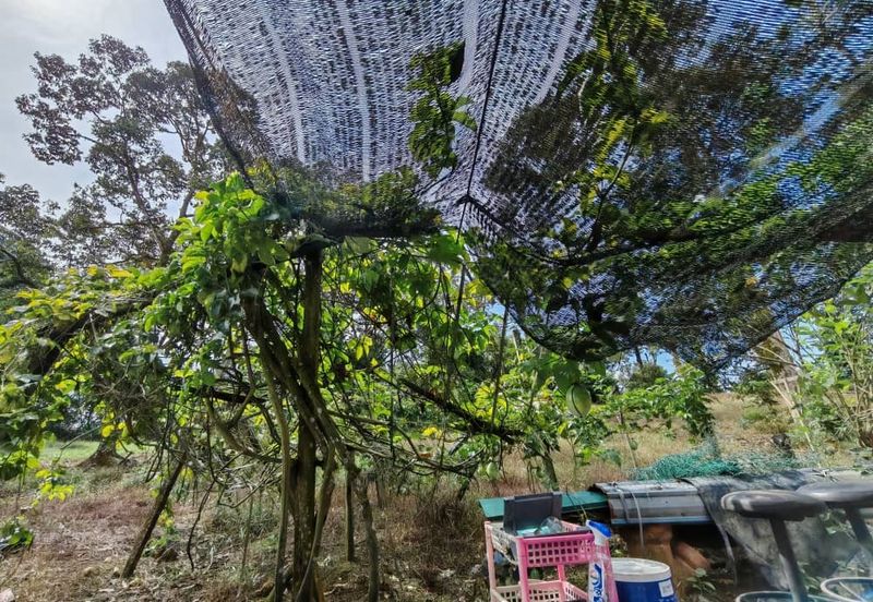 Bandar Baru Kangkar Pulai