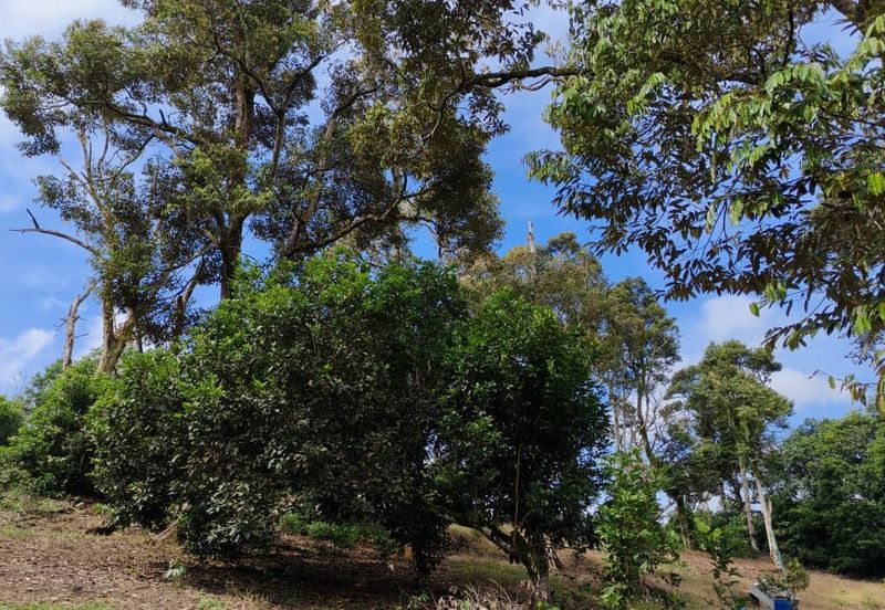 Bandar Baru Kangkar Pulai