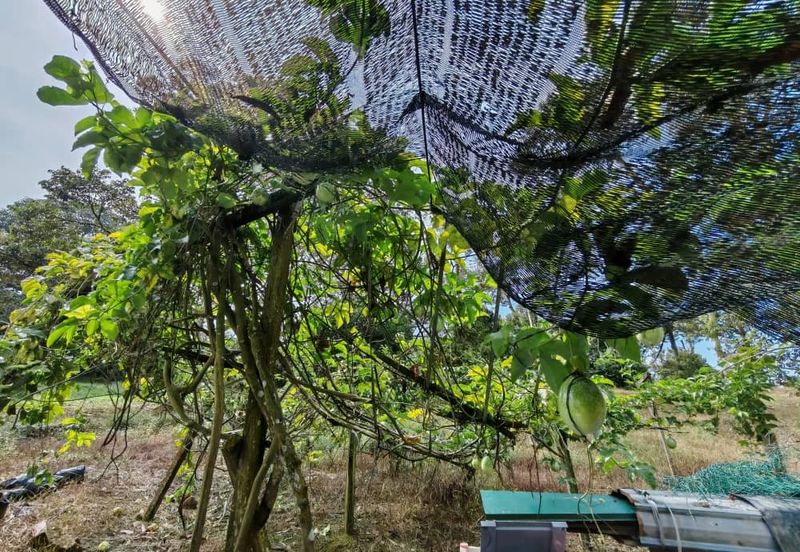 Bandar Baru Kangkar Pulai