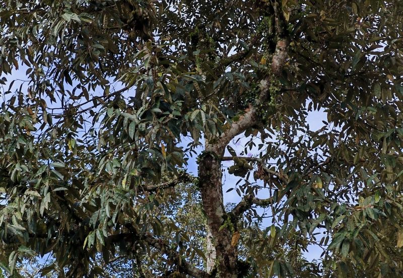 Bandar Baru Kangkar Pulai