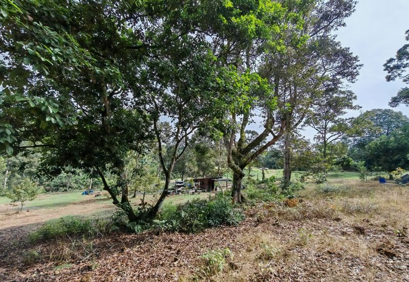 Bandar Baru Kangkar Pulai