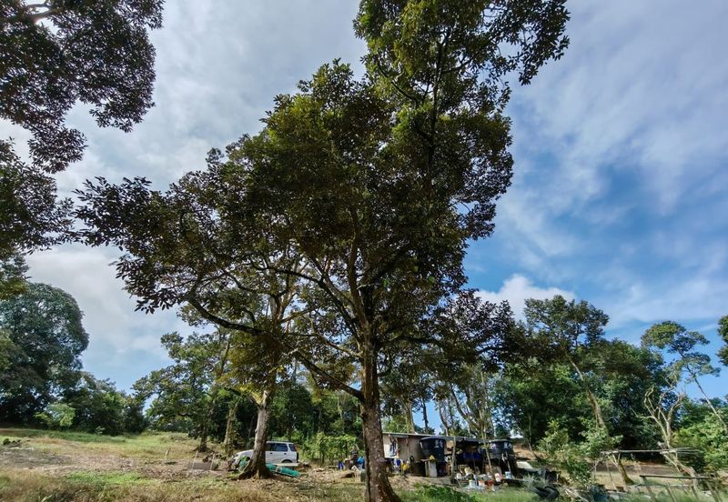 Bandar Baru Kangkar Pulai