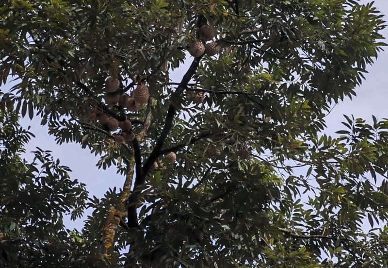 Bandar Baru Kangkar Pulai