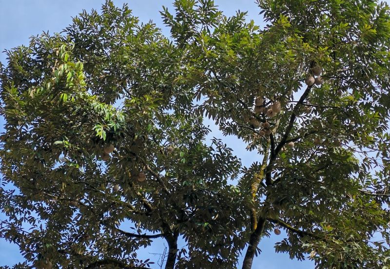 Bandar Baru Kangkar Pulai