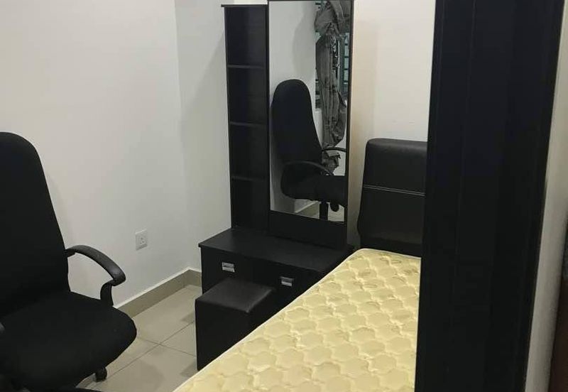 Midori Green @ Austin Heights