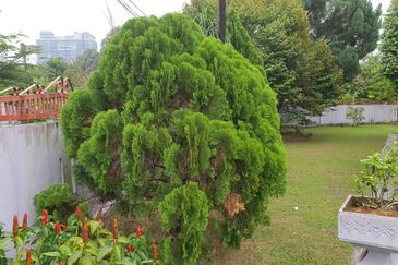 Bungalow In Titiwangsa Huge Land