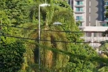 Taman Tiara Titiwangsa