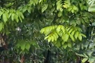 Taman Tiara Titiwangsa