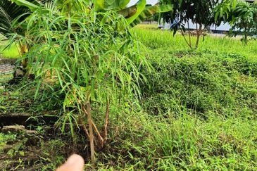 Rancangan Tanah Belia, RTB Bukit Changgang