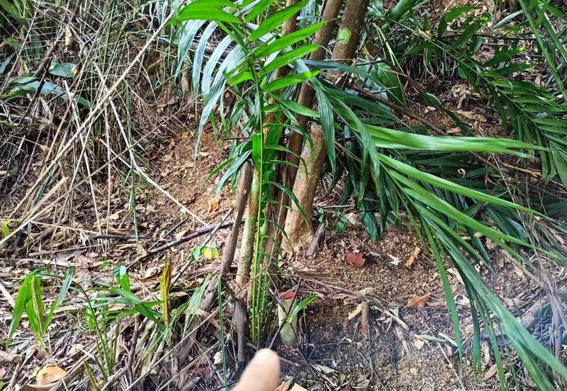 Bandar Baru Salak Tinggi