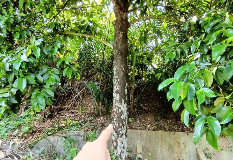 Bandar Baru Salak Tinggi