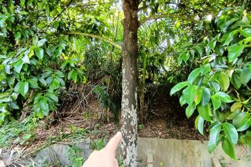 Bandar Baru Salak Tinggi