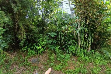 Bandar Baru Salak Tinggi