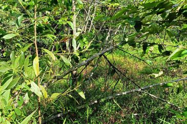 Bandar Baru Salak Tinggi