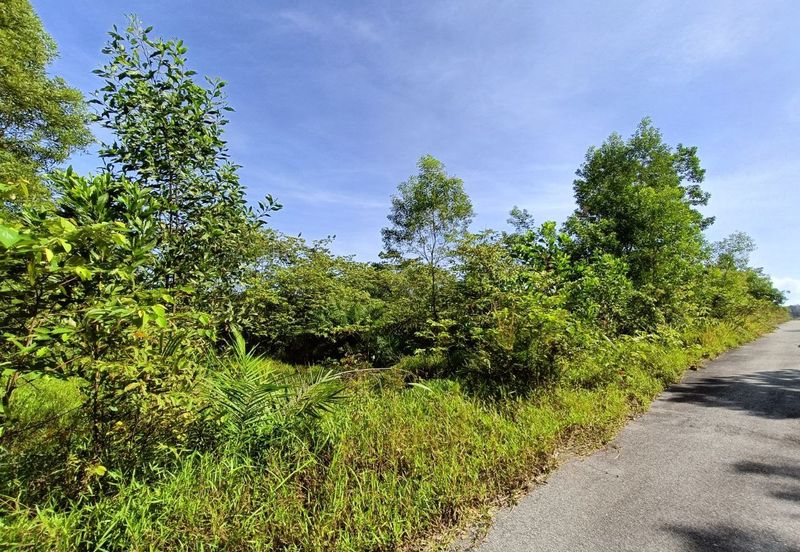 Bandar Baru Salak Tinggi