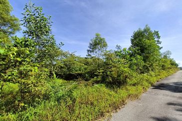 Bandar Baru Salak Tinggi