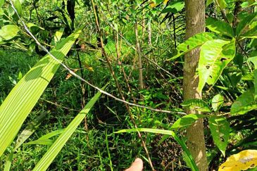 Bandar Baru Salak Tinggi