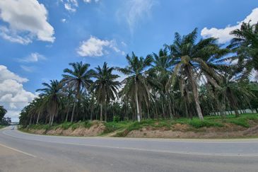 Jalan Kluang - Renggam