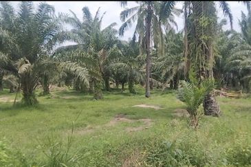 Telok Panglima Garang Industrial Zone