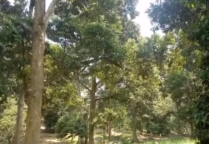 TAMAN TEROH ANGGUN, KARAK