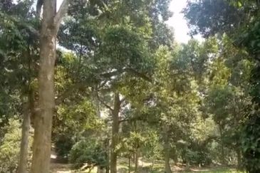 TAMAN TEROH ANGGUN, KARAK