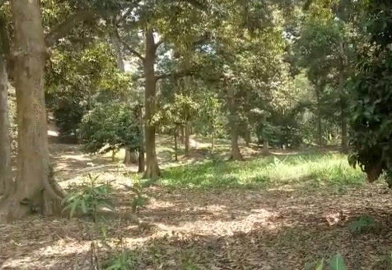 TAMAN TEROH ANGGUN, KARAK