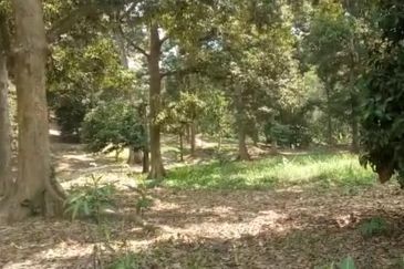 TAMAN TEROH ANGGUN, KARAK