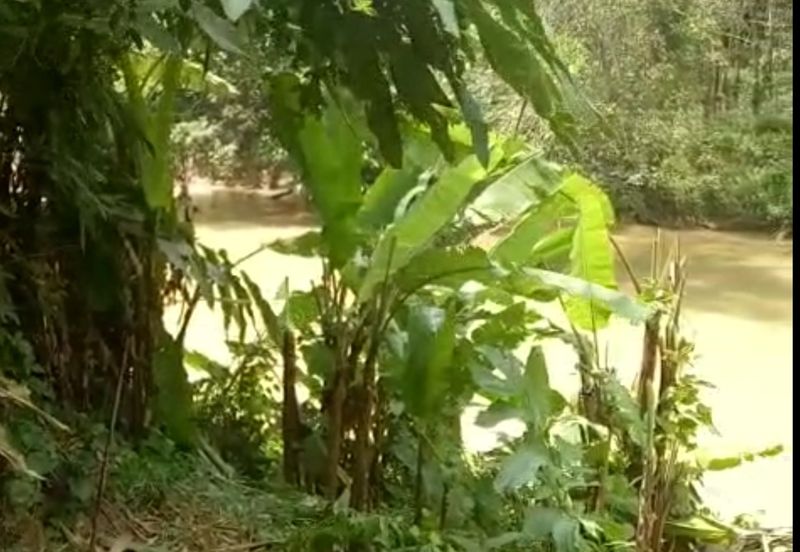 TAMAN TEROH ANGGUN, KARAK