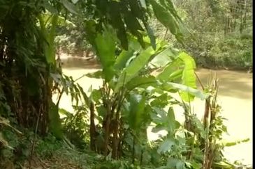 TAMAN TEROH ANGGUN, KARAK