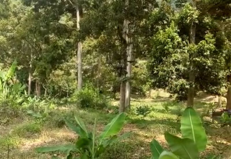 TAMAN TEROH ANGGUN, KARAK