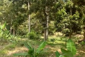 TAMAN TEROH ANGGUN, KARAK