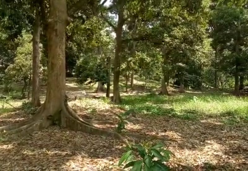 TAMAN TEROH ANGGUN, KARAK