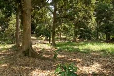 TAMAN TEROH ANGGUN, KARAK