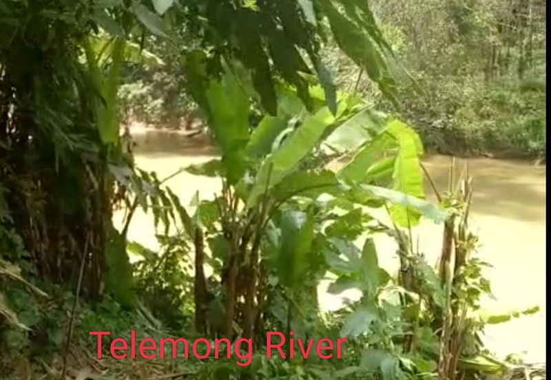 TAMAN TEROH ANGGUN, KARAK