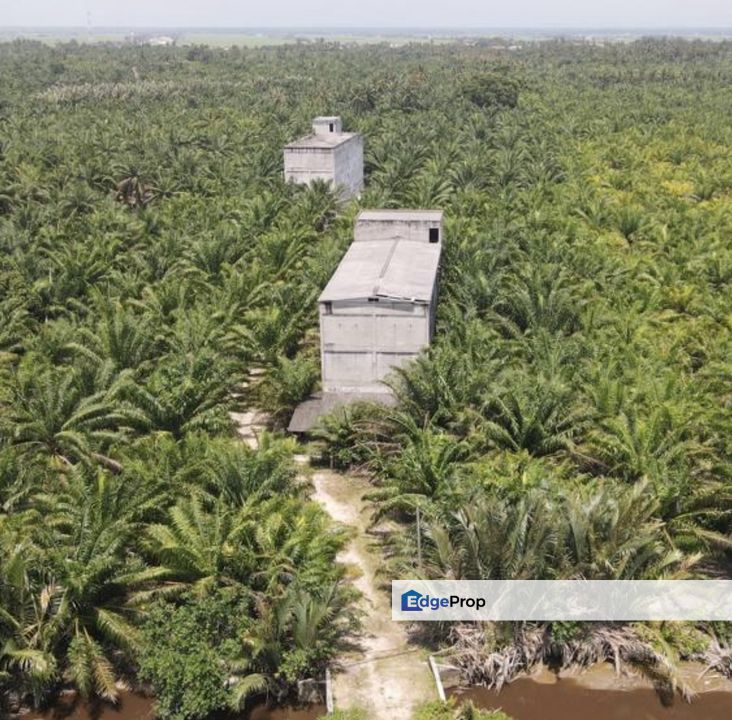 Tanjong Karang 1.5 acres oil palm land with swiftlet house for sales. , Selangor, Tanjong Karang 