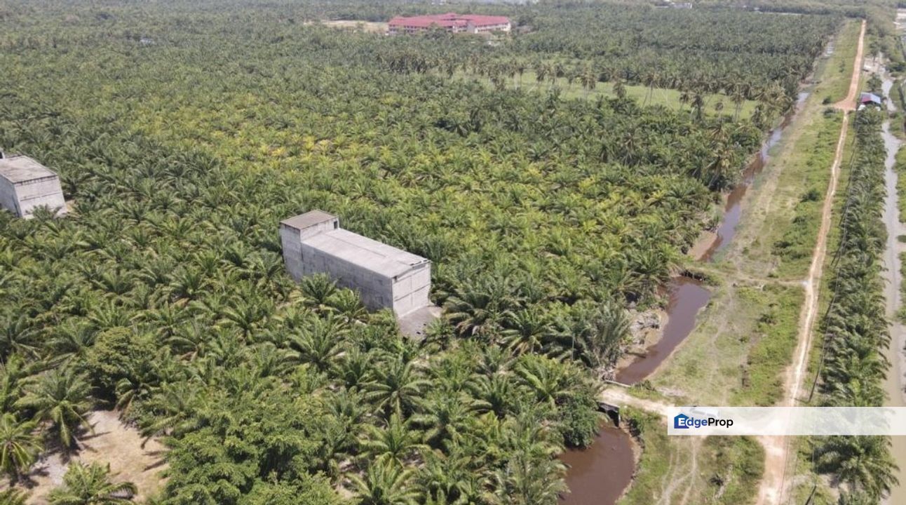 Tanjong Karang 1.5 acres oil palm land with swiftlet house for sales. , Selangor, Tanjong Karang 