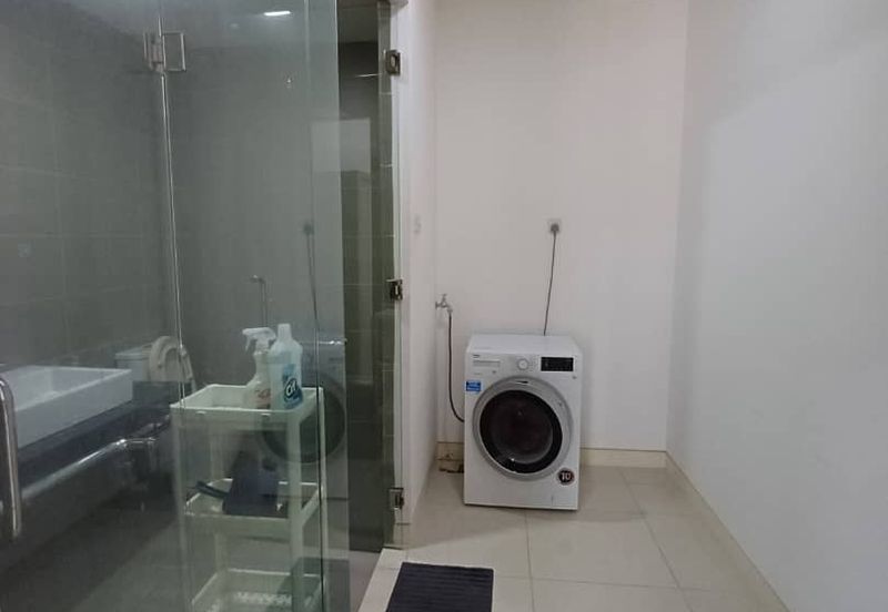 Arnica @ Tropicana Gardens