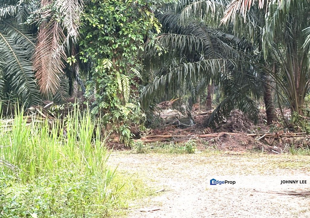 Telok Panglima Garang industrial land for sale , Selangor, Telok Panglima Garang