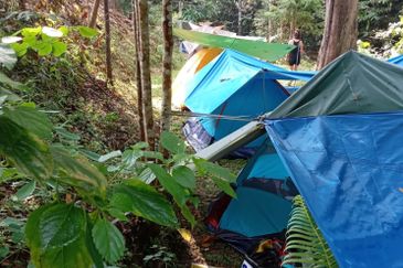 Batang Kali Malay Reservation