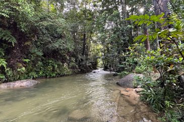 Batang Kali Malay Reservation